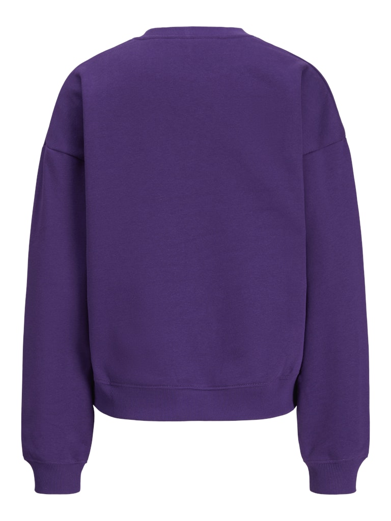 Sweaters - Jxjackie Ls Rlx Print Crew Sweat van JJXX