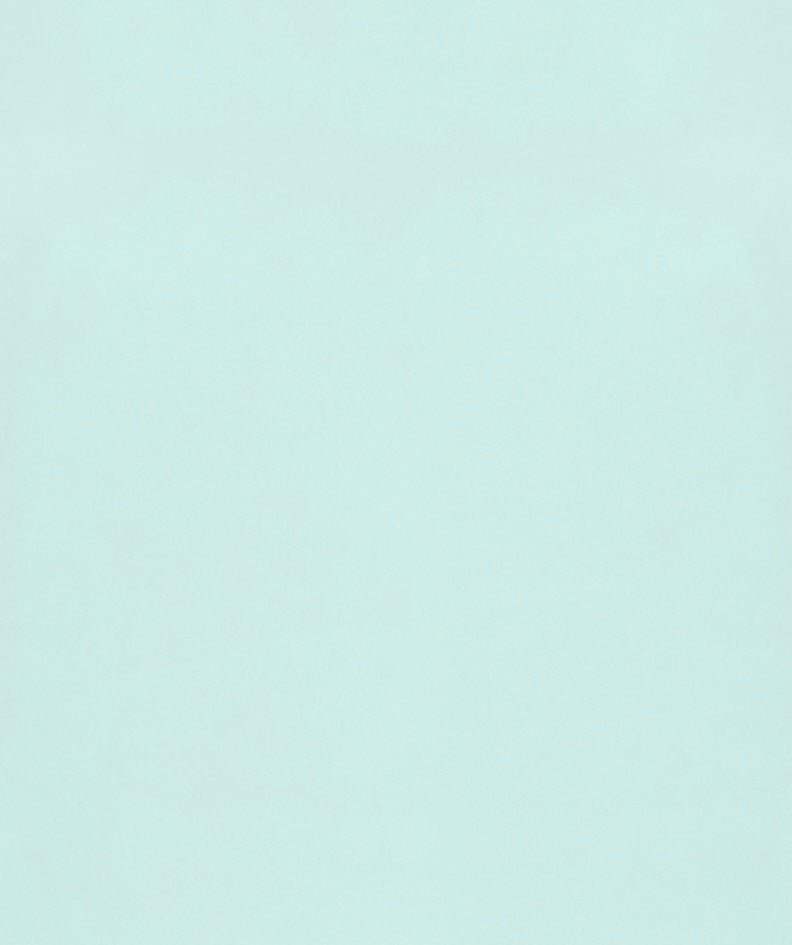 Blue Tint T-shirts - Pamila T-shirt SS24 van b.young